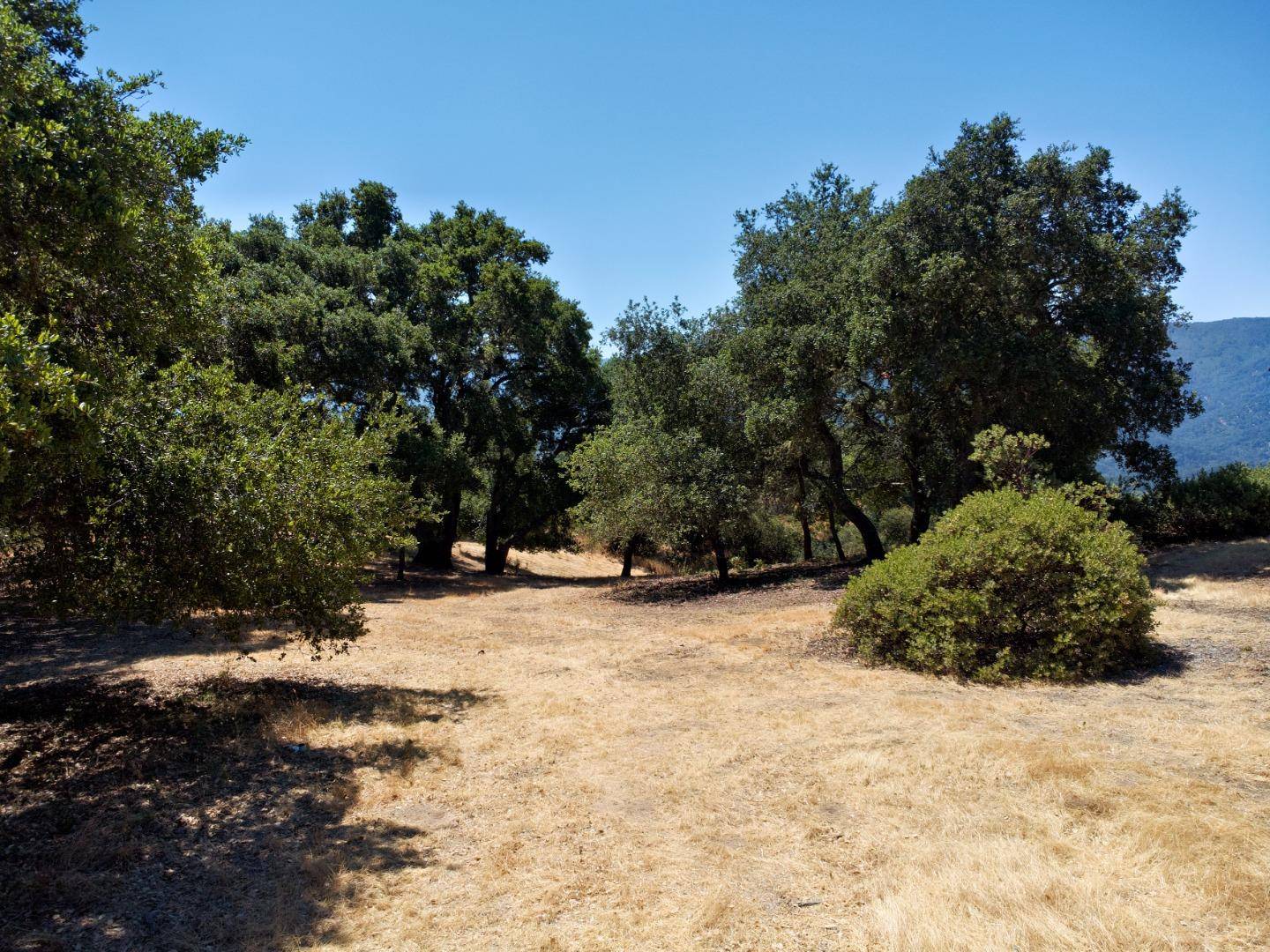 Carmel, CA 93923,57 Chamisal Pass
