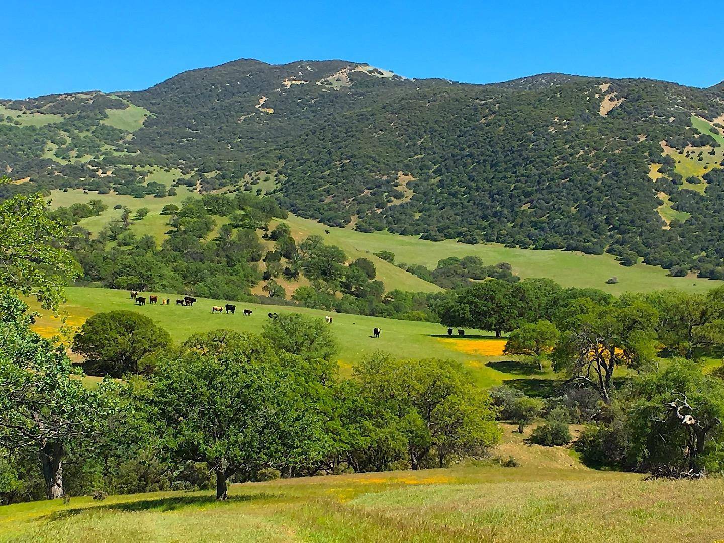 Greenfield, CA 93927,45251 Carmel Valley Road