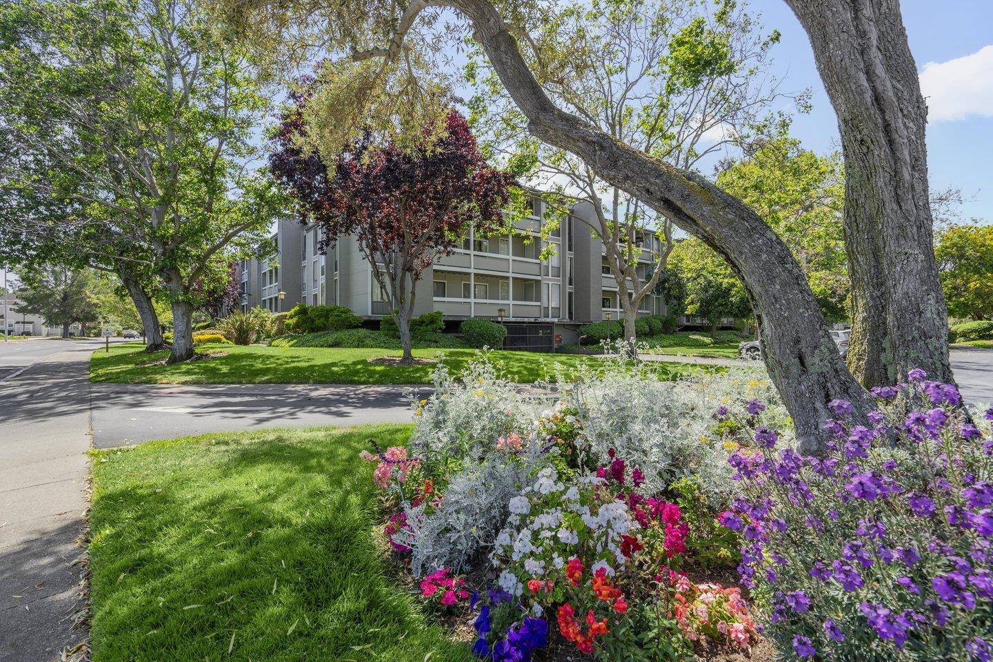 Foster City, CA 94404,1051 Beach Park Boulevard #220