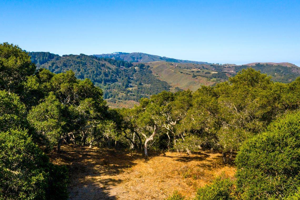 Carmel, CA 93923,2 Corral Run (Lot D6)