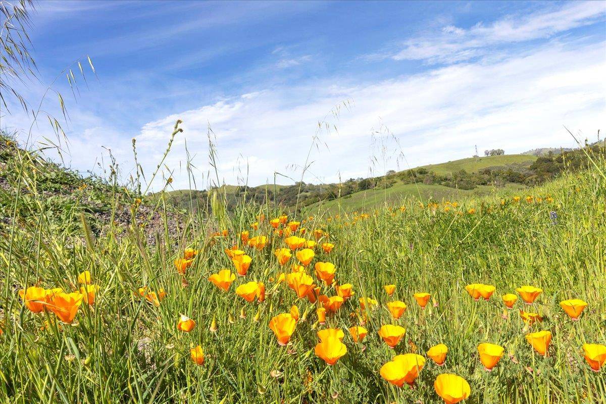 San Jose, CA 95140,0 Mt Hamilton