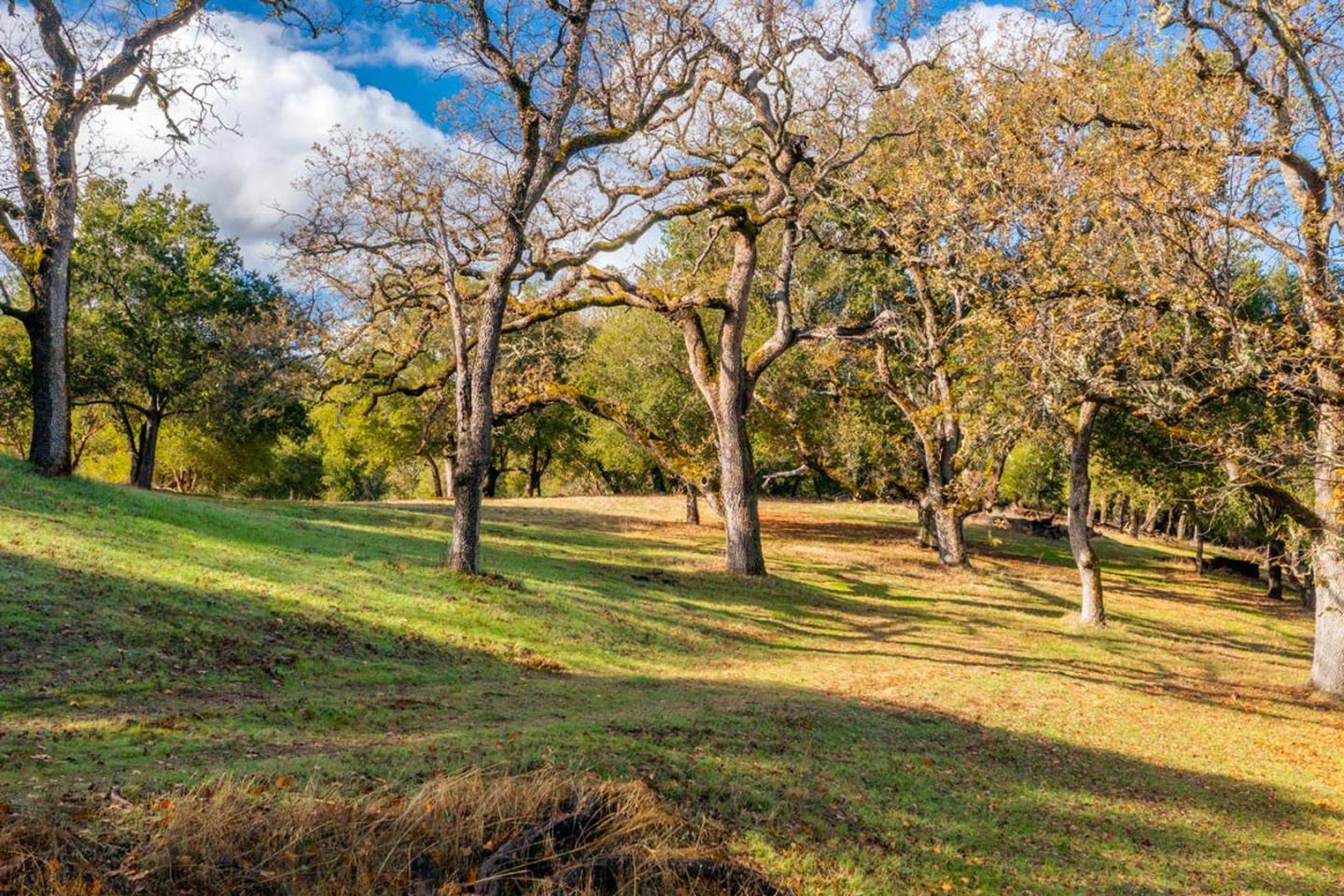 Carmel, CA 93923,36 Arroyo Sequoia (Lot 117)