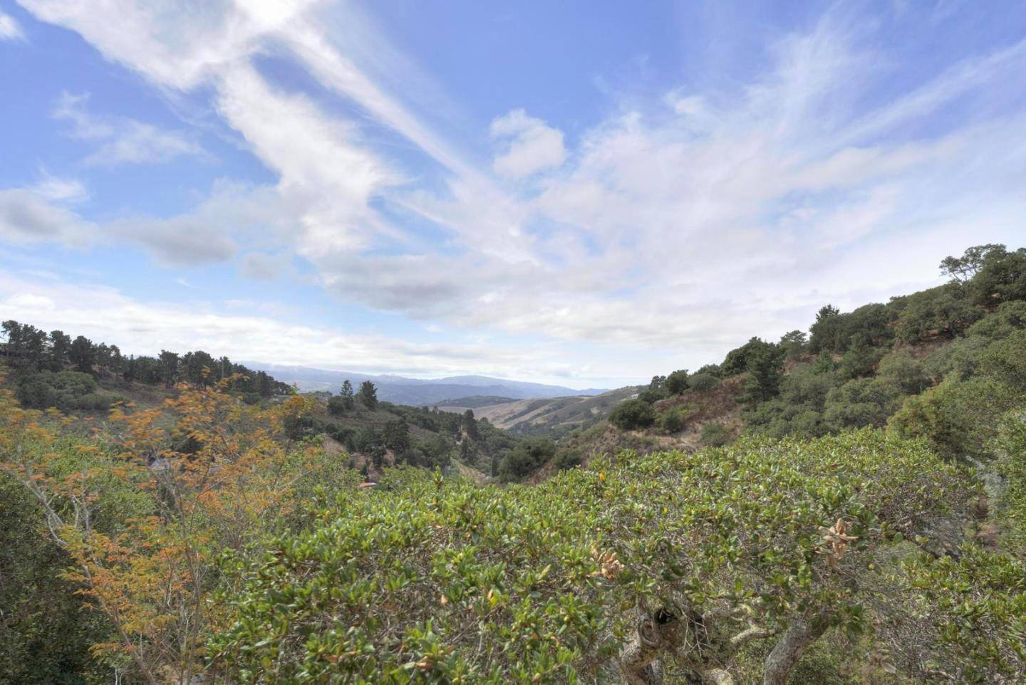 Carmel Valley, CA 93924,12440 Saddle Road