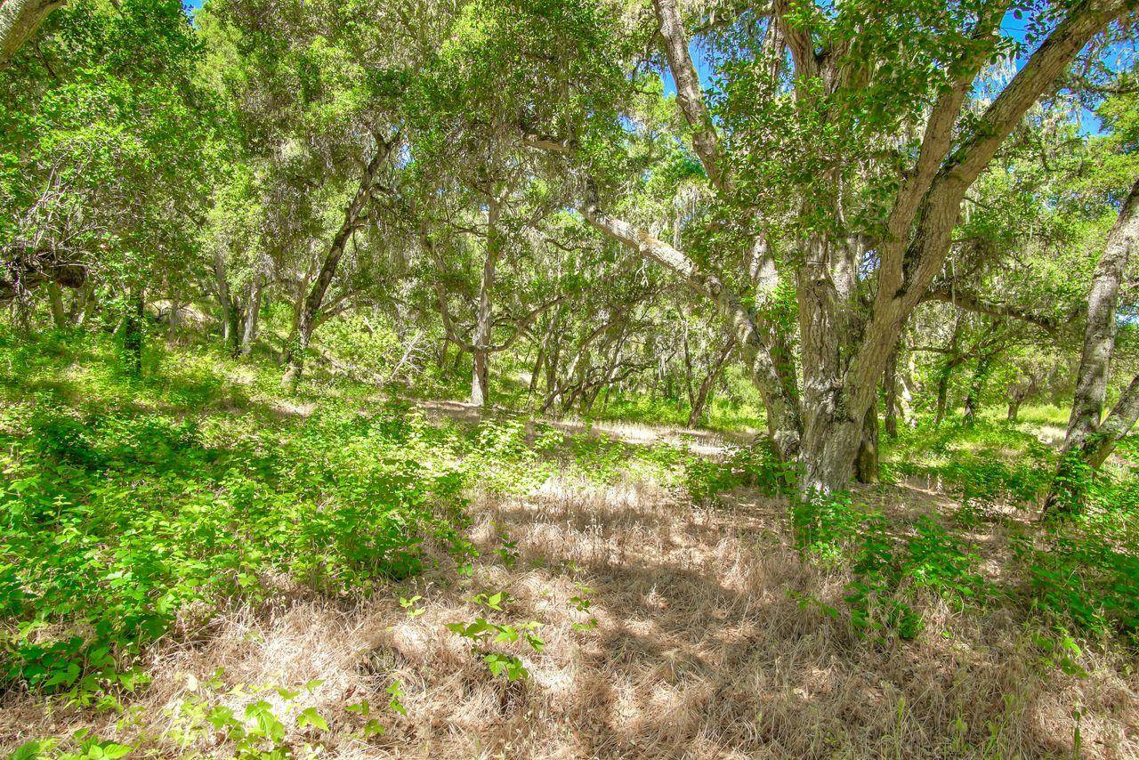 Carmel Valley, CA 93924,36000 E Carmel Valley Road