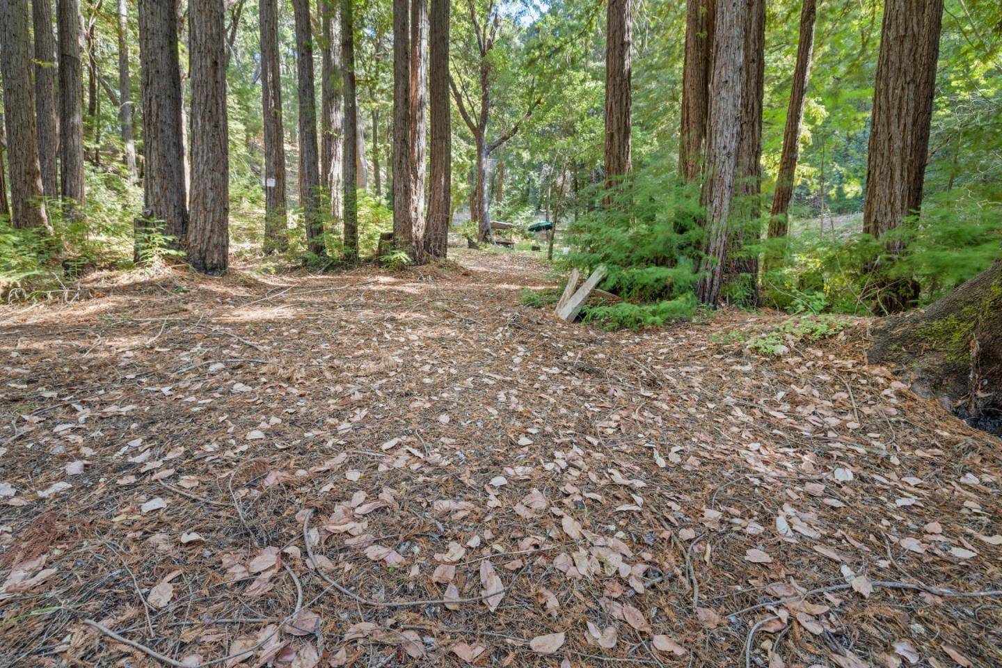 Boulder Creek, CA 95006,19900 Kings Creek Road