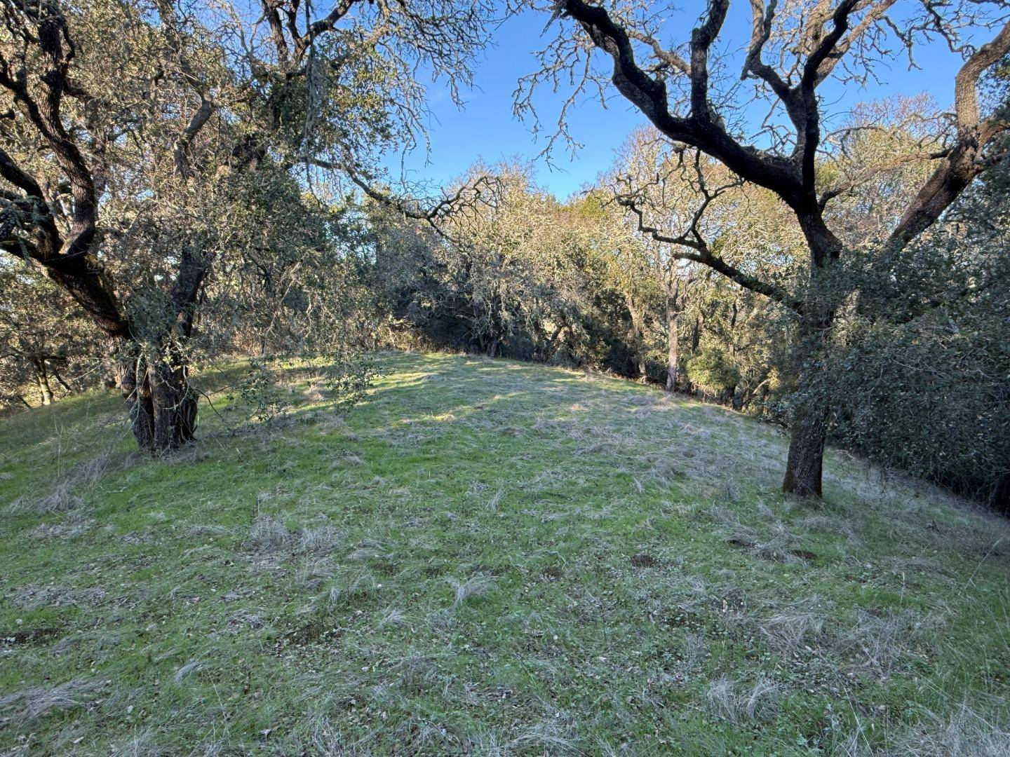 Morgan Hill, CA 95037,0 Chesbro Lake Drive