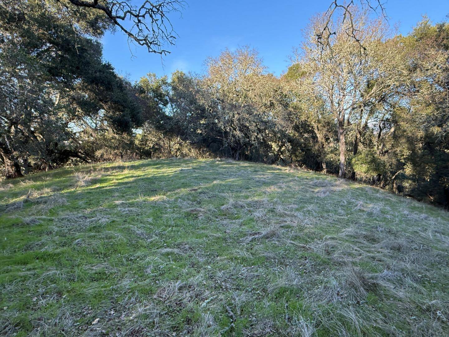 Morgan Hill, CA 95037,0 Chesbro Lake Drive