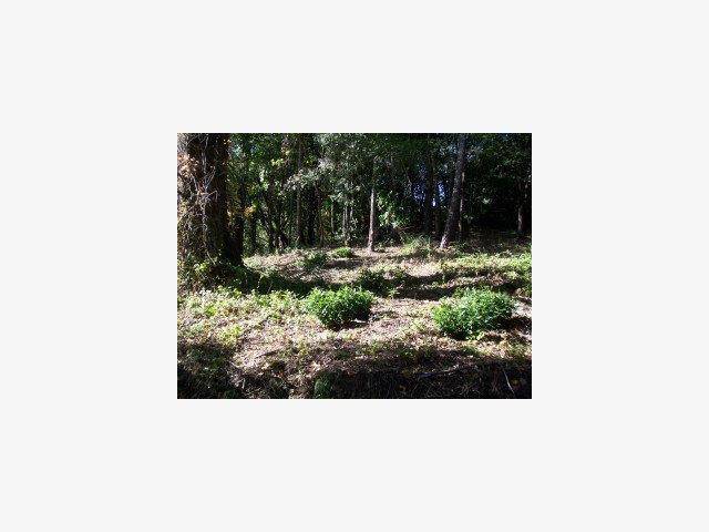 Los Gatos, CA 95033,0 Gist Road