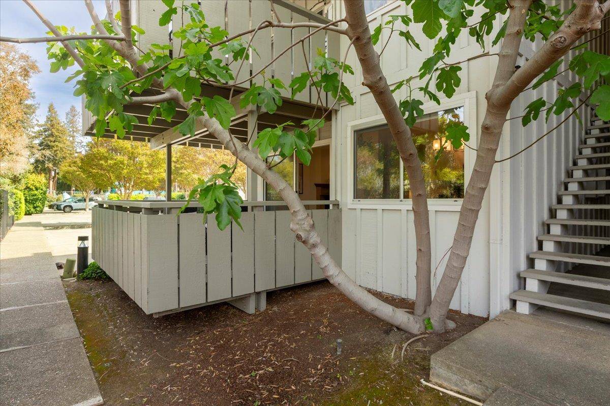 Mountain View, CA 94040,255 S Rengstorff Avenue #99