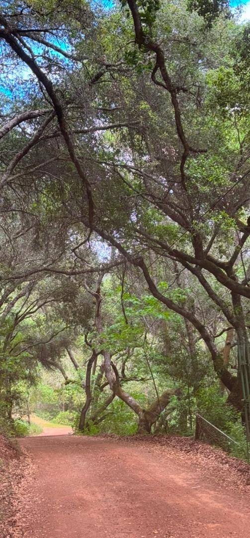 Morgan Hill, CA 95037,00 Uvas Road