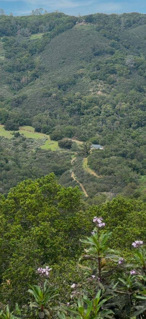 Morgan Hill, CA 95037,00 Uvas Road
