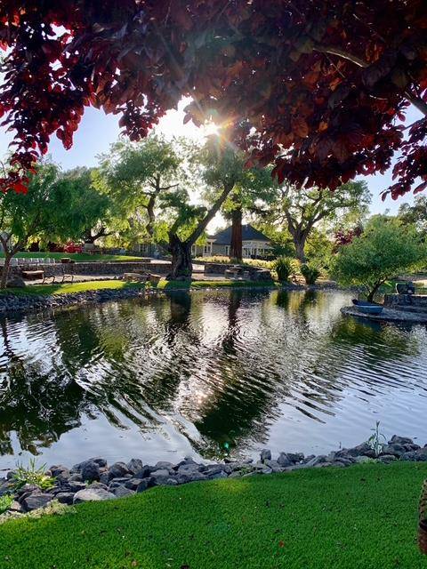 Gilroy, CA 95020,3970 Leavesley Road