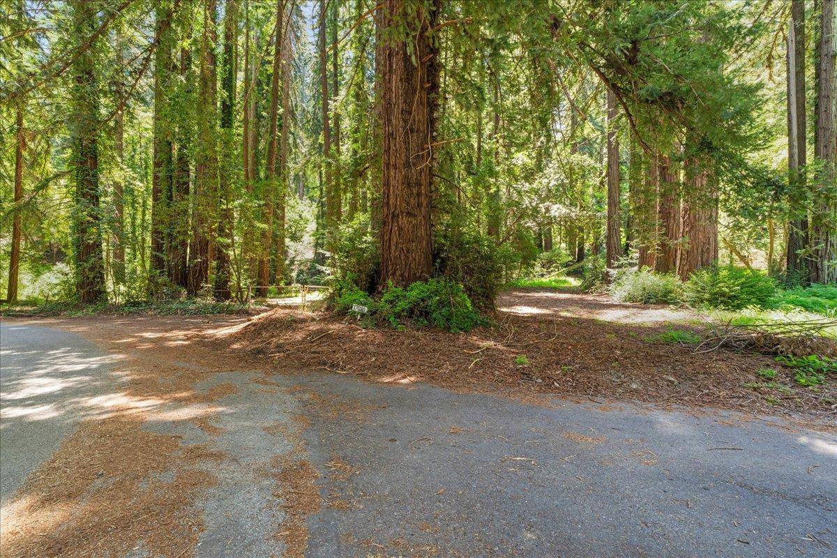 Los Gatos, CA 95030,0 Grove Street