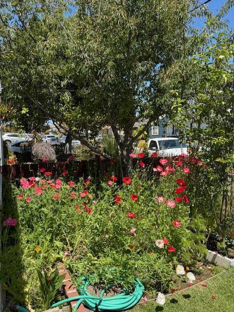Salinas, CA 93906,129 Rodeo Avenue