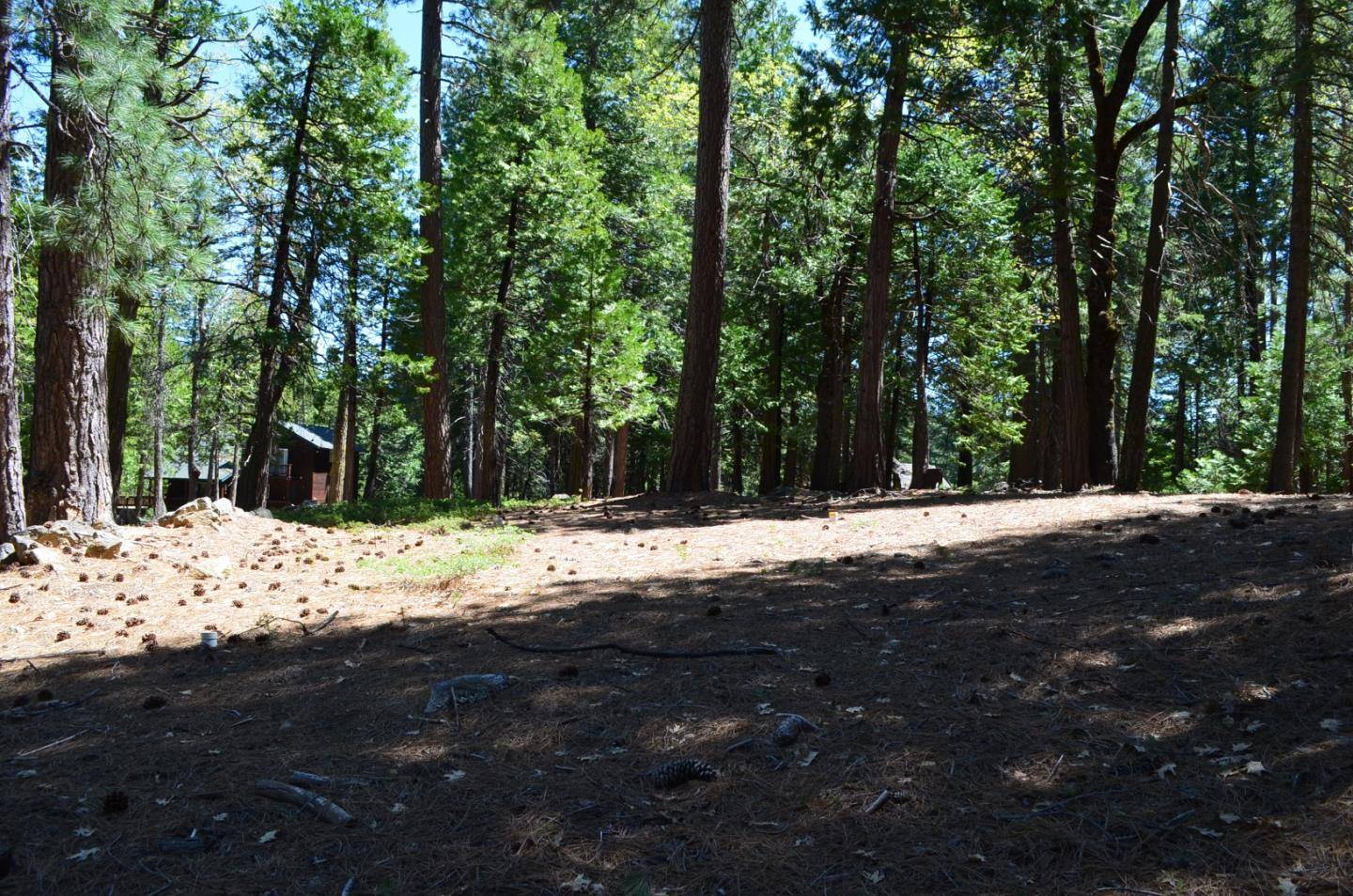 Other - See Remarks, CA 95223,3112 Apache Road