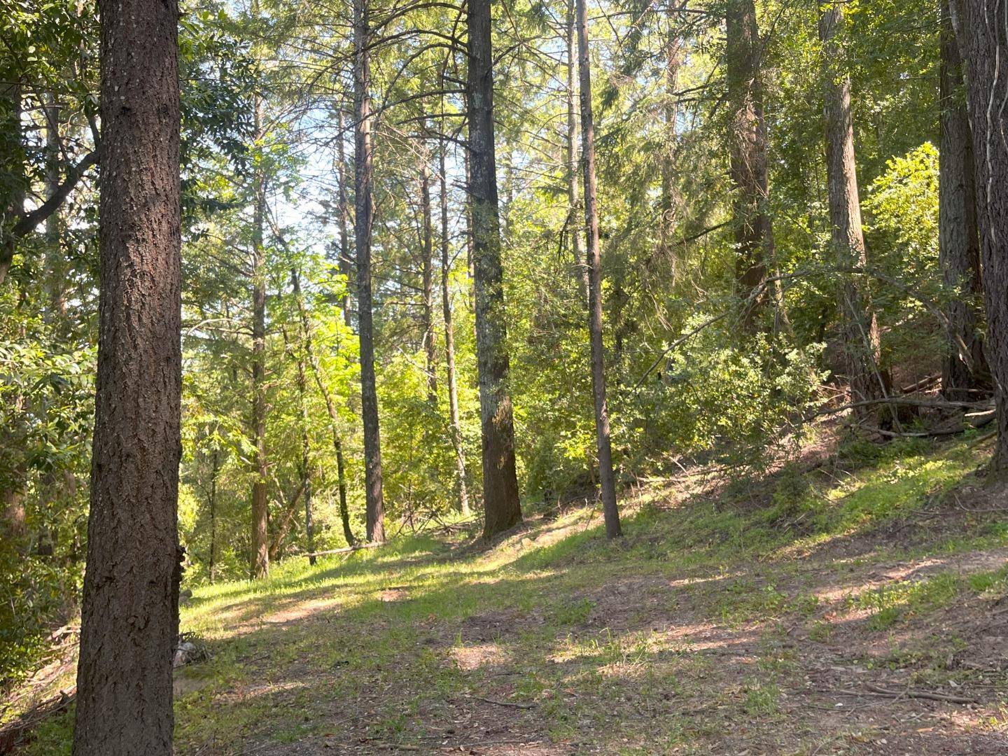 Los Gatos, CA 95033,19179 Skyline Boulevard