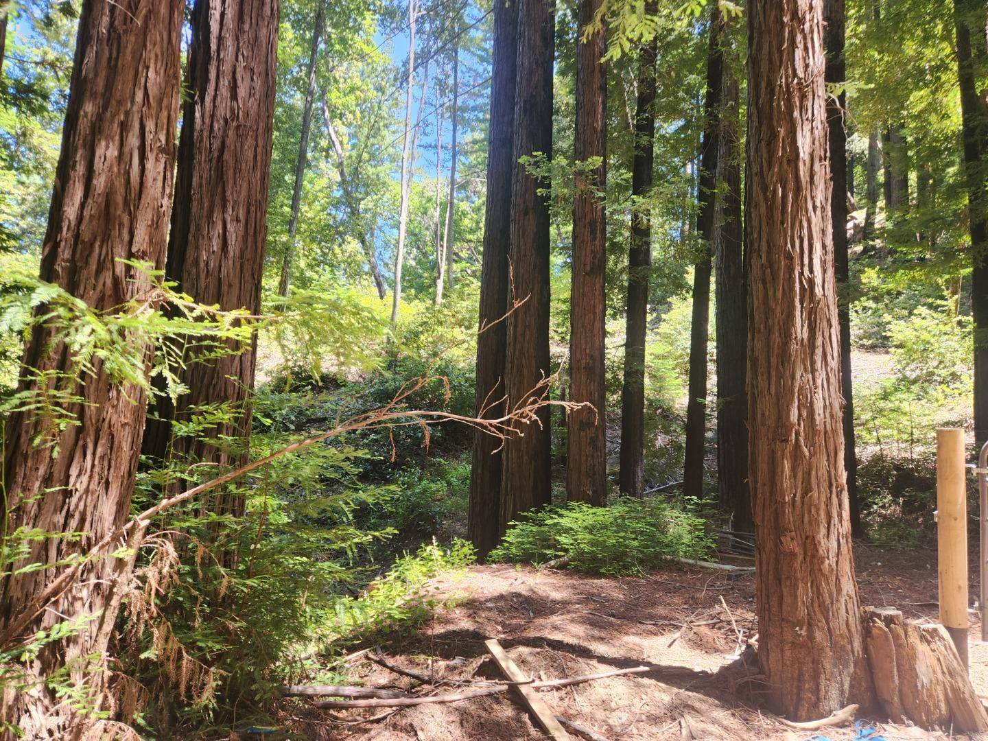 Los Gatos, CA 95033,0 Lost Valley