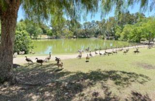 Concord, CA 94520,1731 Ellis Street #12