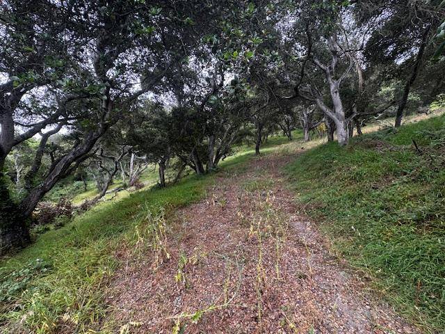 Salinas, CA 93907,18740 Pesante Road