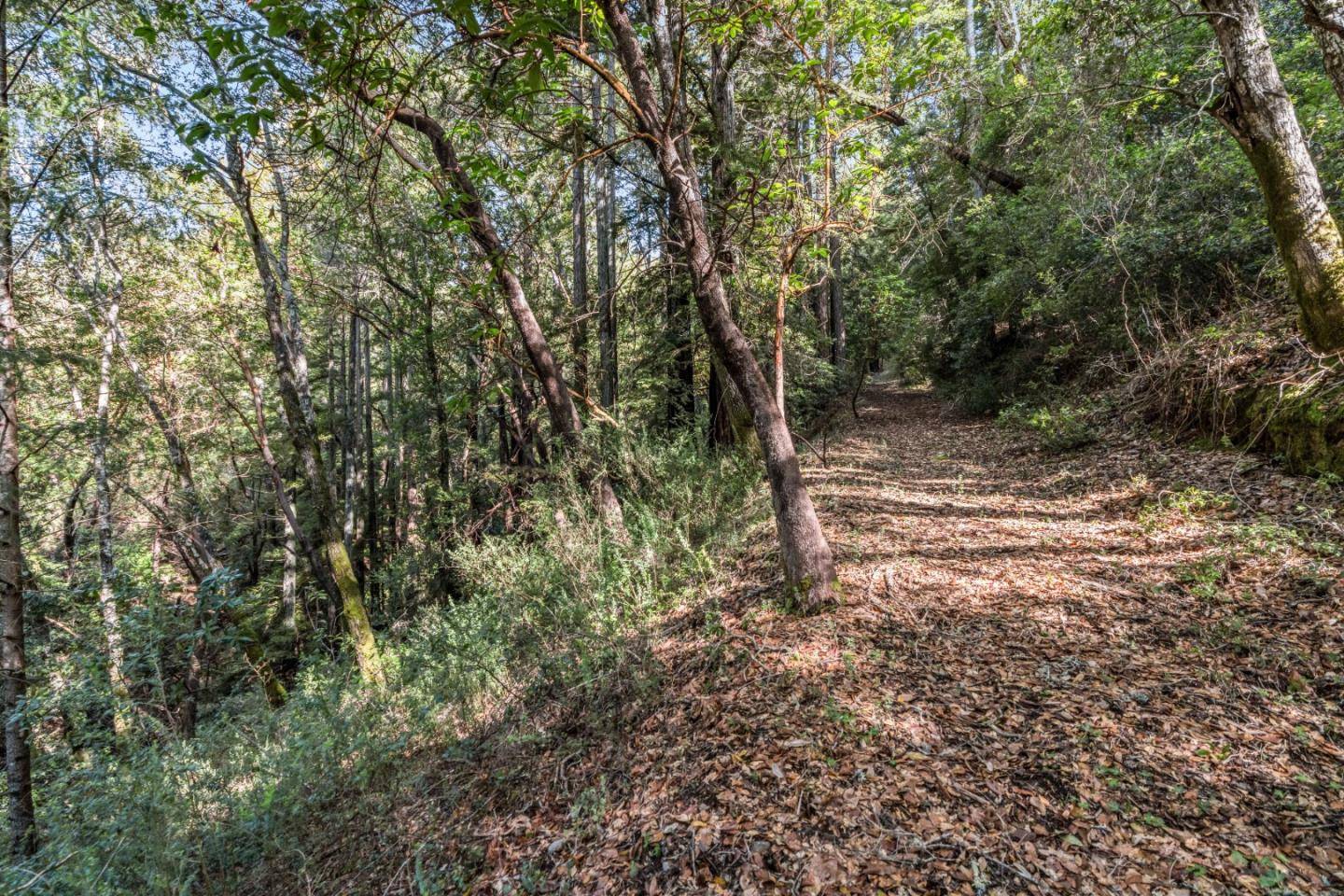 Felton, CA 95018,Lot 1 Desear