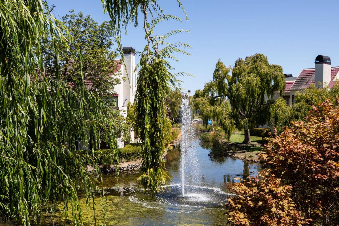 Redwood Shores, CA 94065,223 Shorebird Circle