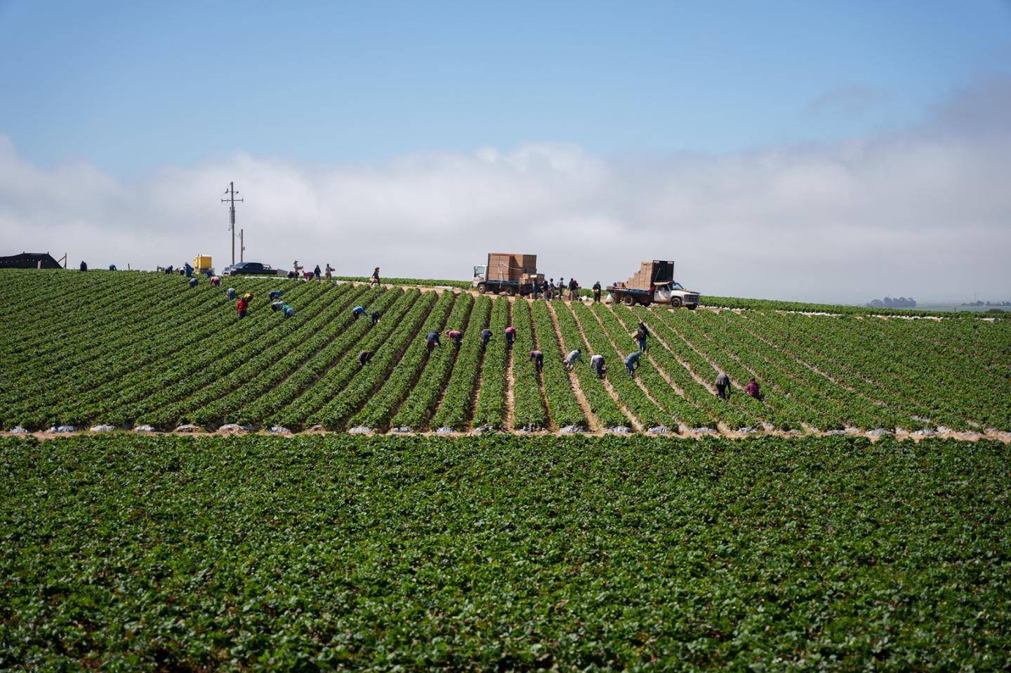 Salinas, CA 93907,0 CA 156