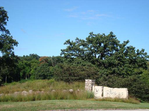 Woodstock, IL 60098,Lot #39 E LONGWOOD Drive