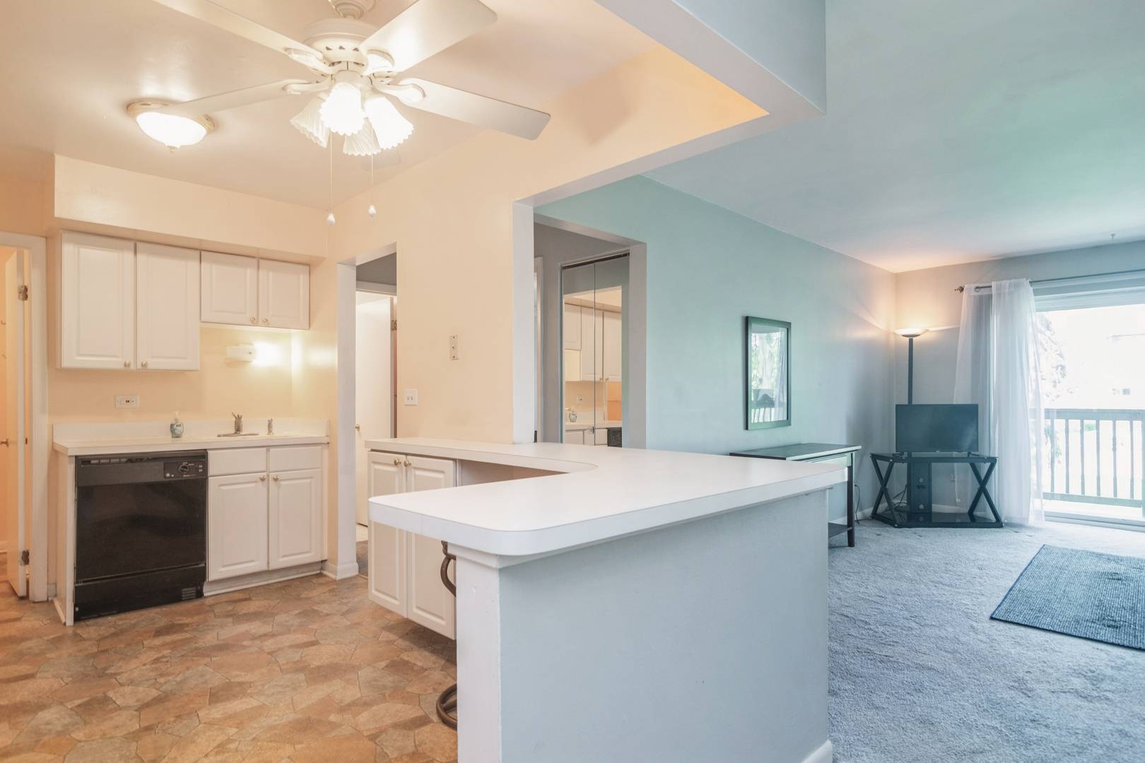 Arlington Heights, IL 60005,2222 S Goebbert Road #256