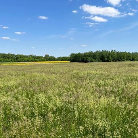 Beason, IL 62512,1160 2175th Avenue