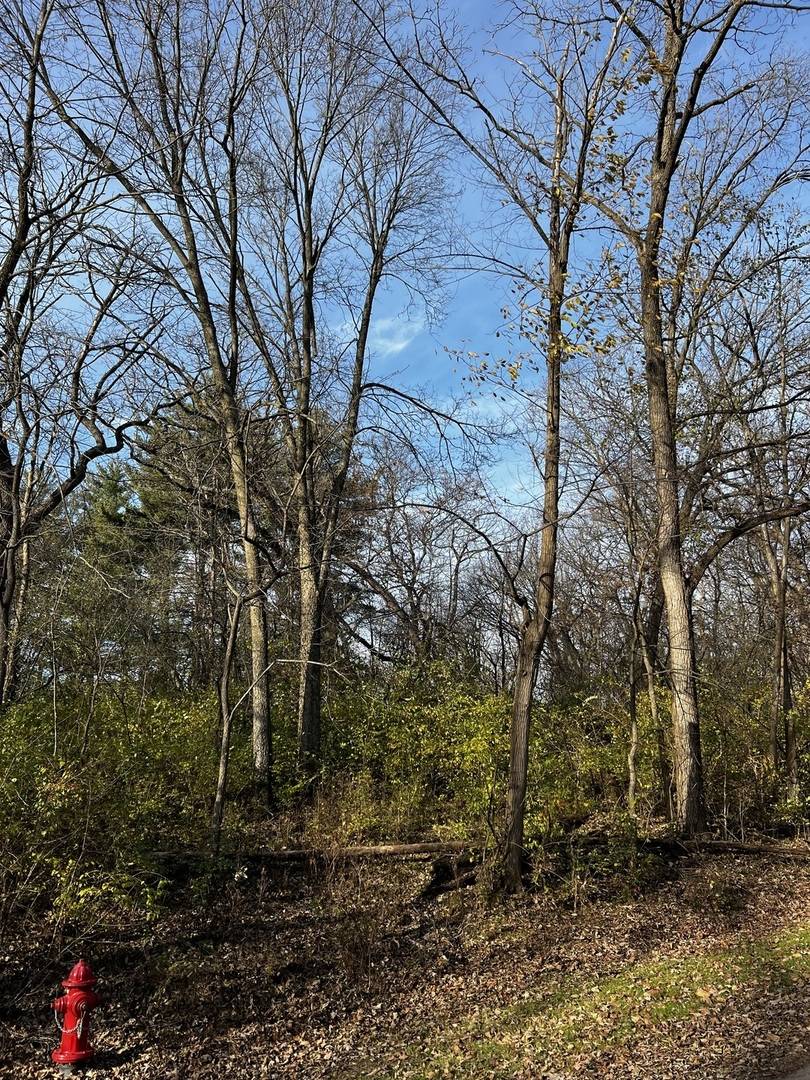 Dixon, IL 61021,107 Maple Lane