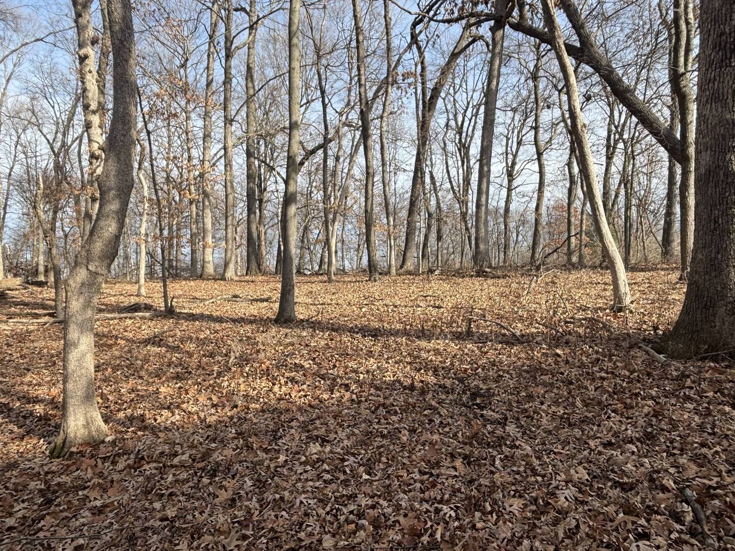 Varna, IL 61375,1096/97 Lake Wildwood Drive