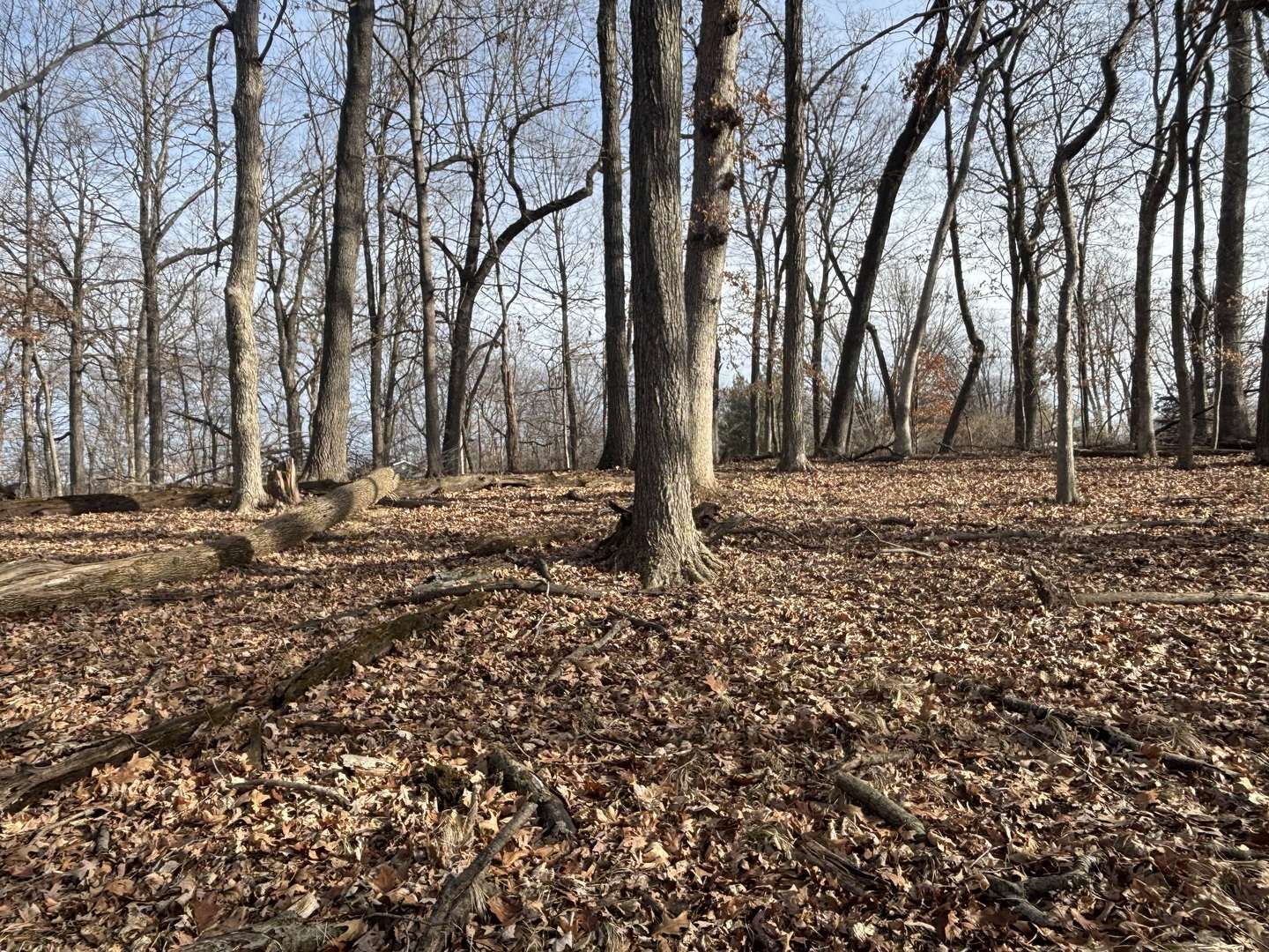 Varna, IL 61375,1096/97 Lake Wildwood Drive