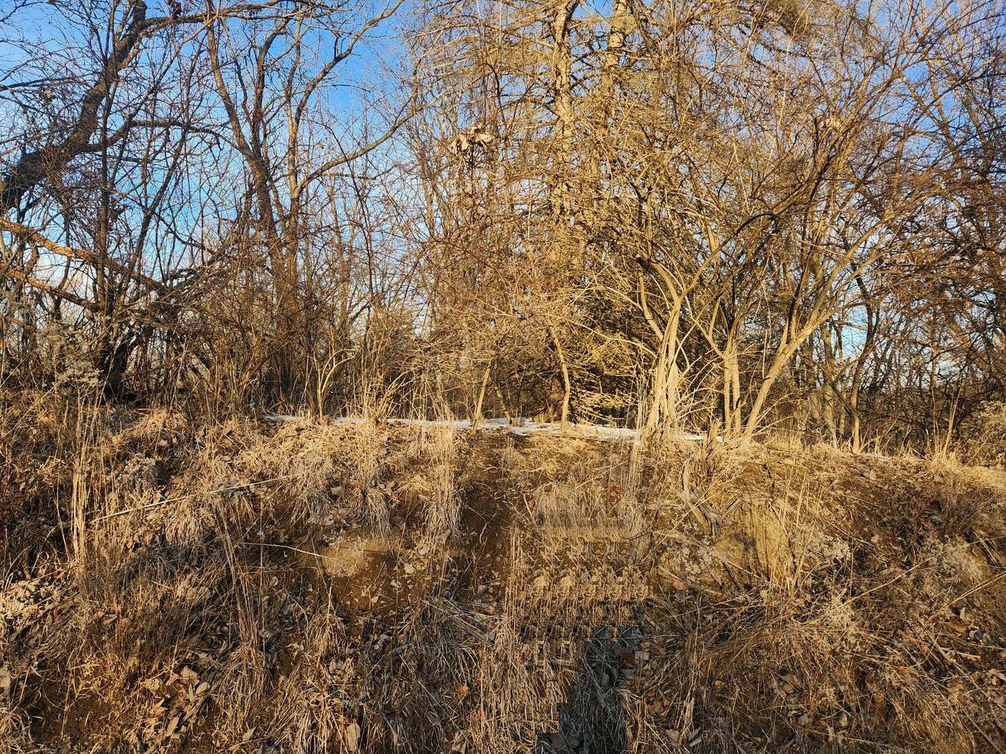 Varna, IL 61375,Lot 1536 Lake Wildwood Drive
