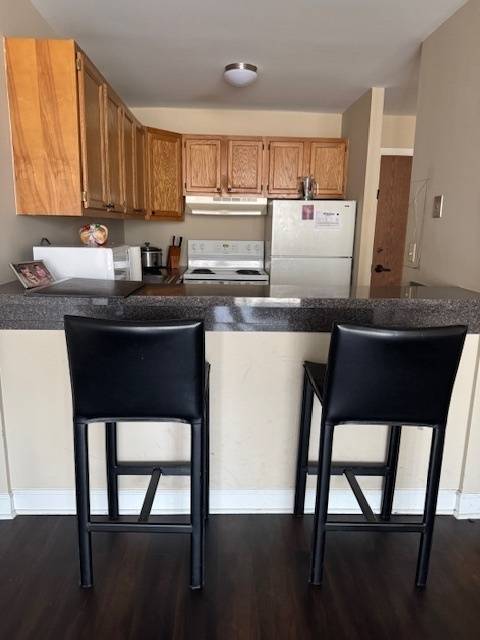 Lisle, IL 60532,5830 Oakwood Drive #4D