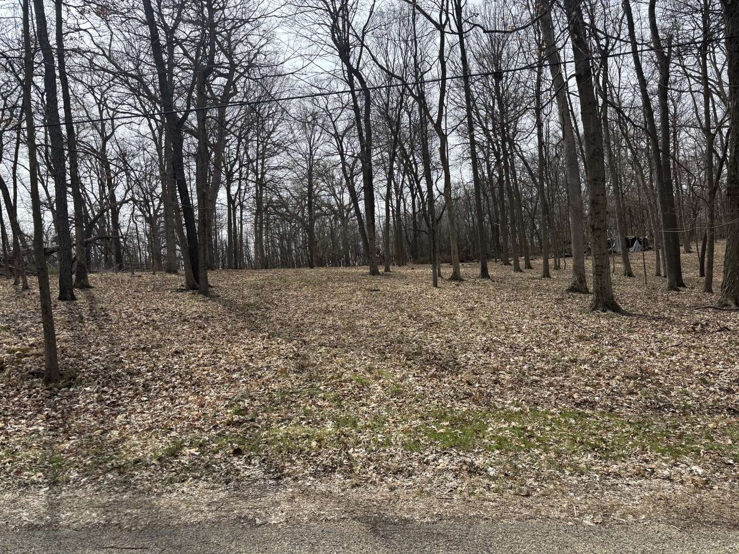 Varna, IL 61375,1729/1730/1731 Tanglewood Drive