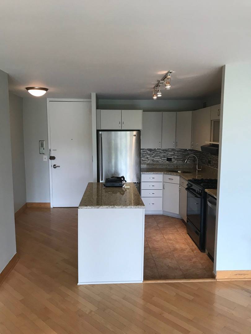 Chicago, IL 60614,1960 N Lincoln Park West #507