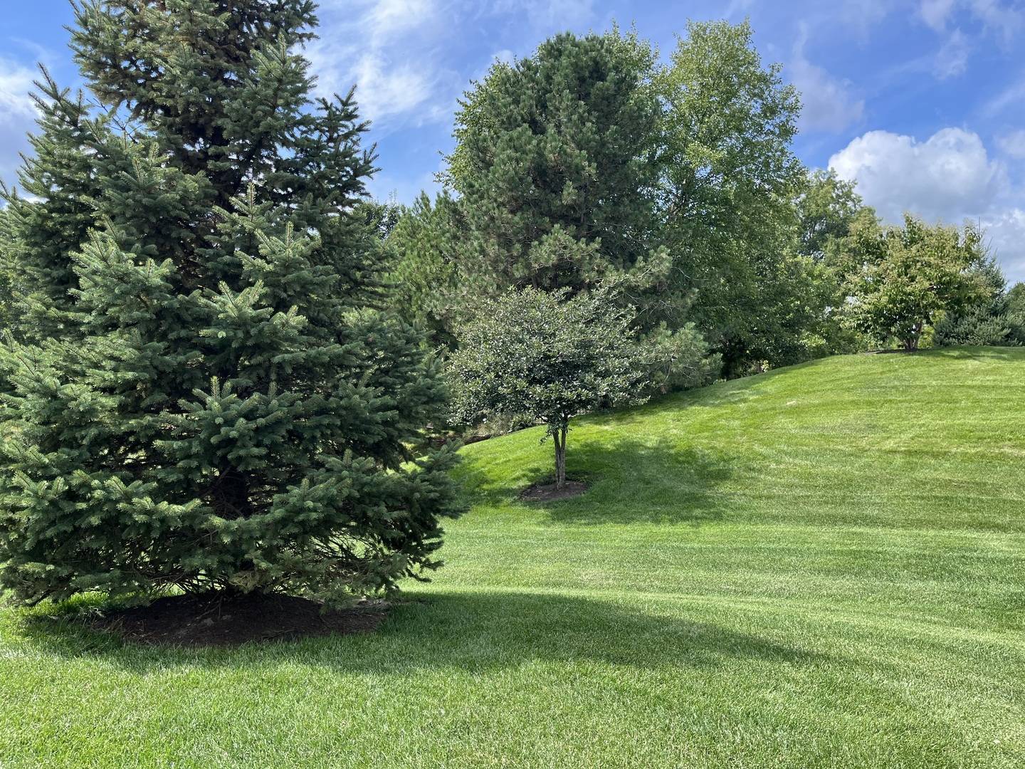 Elgin, IL 60124,2862 Stoney Creek Drive