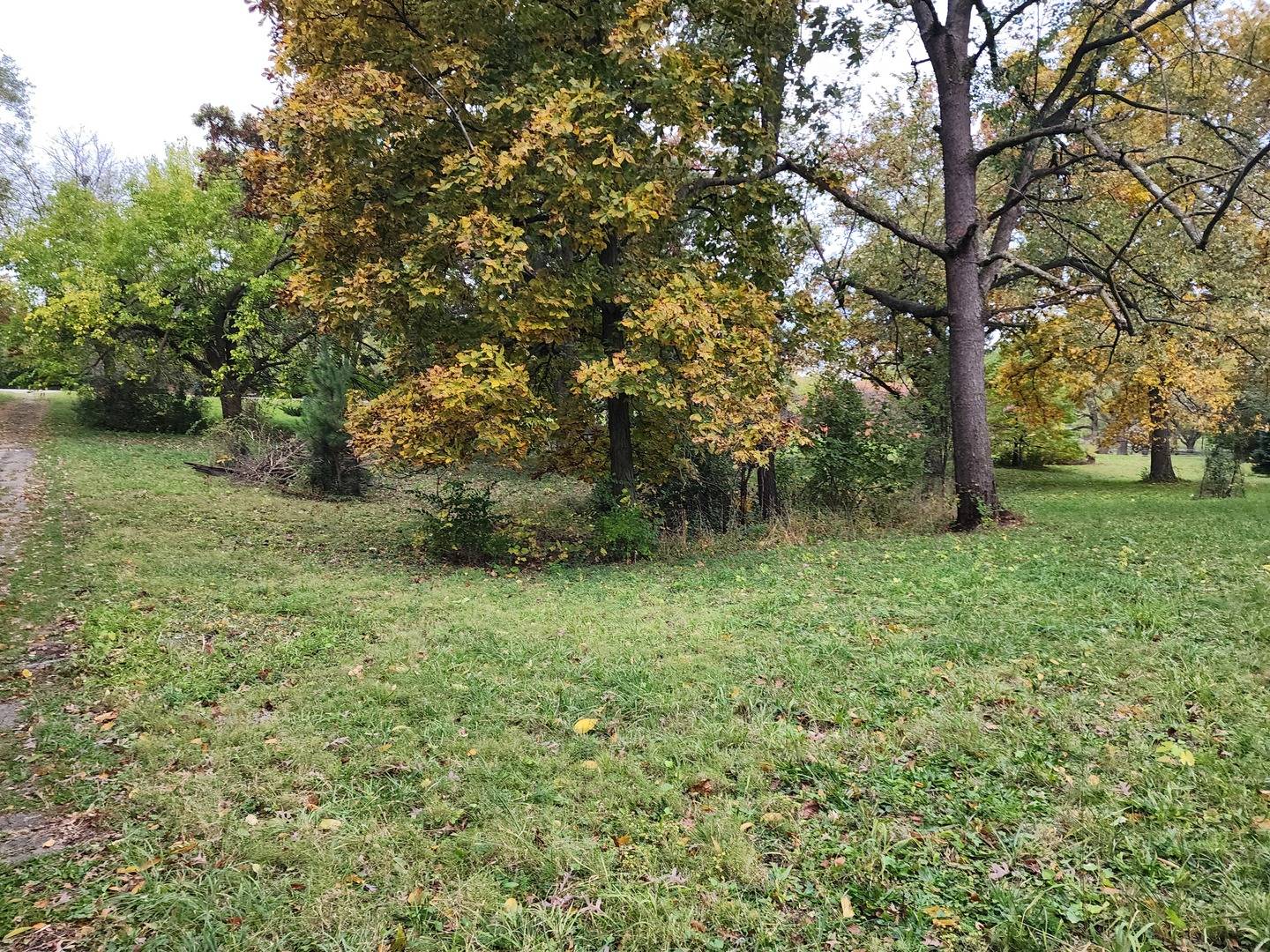 Elgin, IL 60120,31W184 Wolsfeld Drive