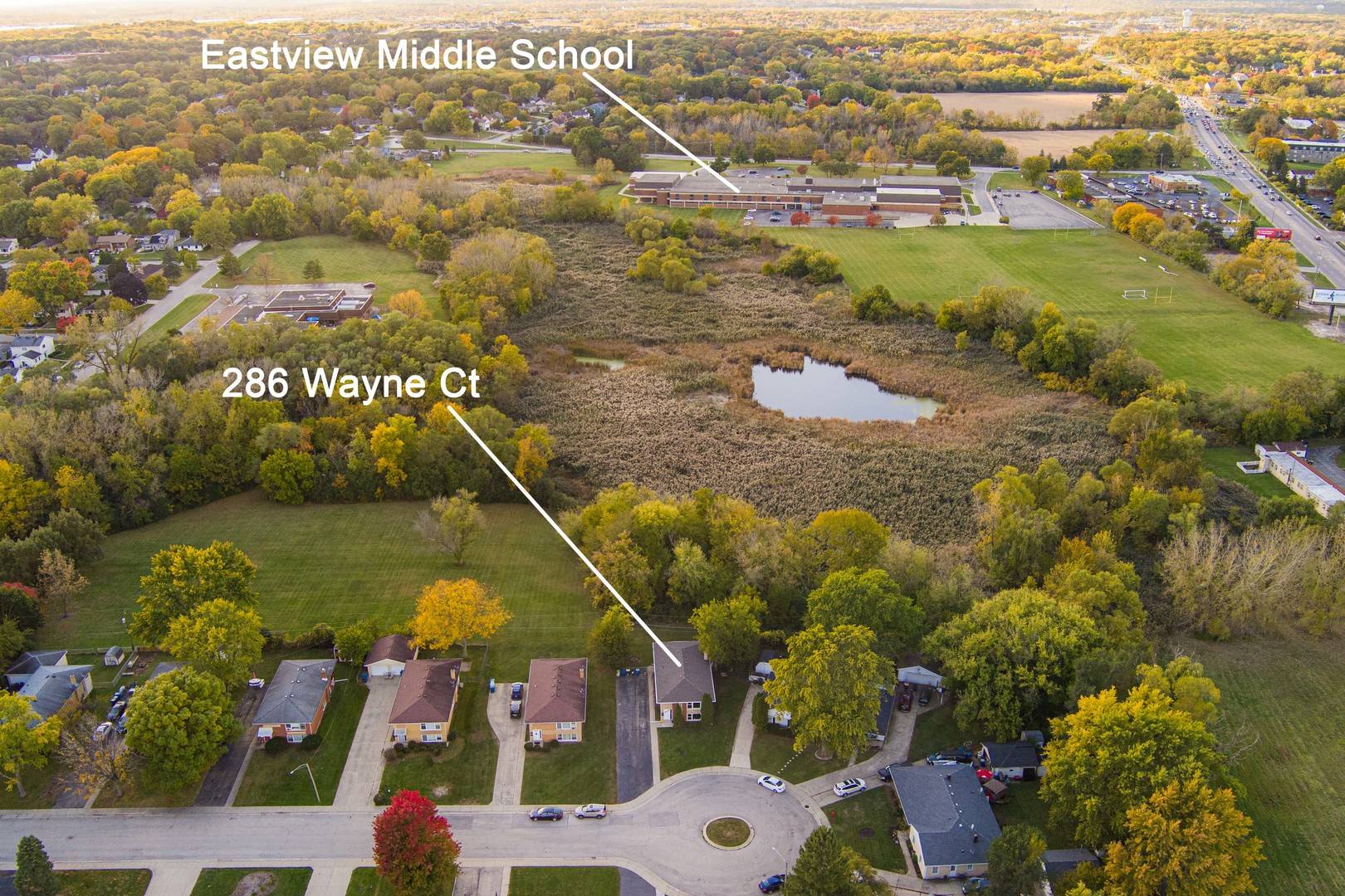 Bartlett, IL 60103,286 Wayne Court #2