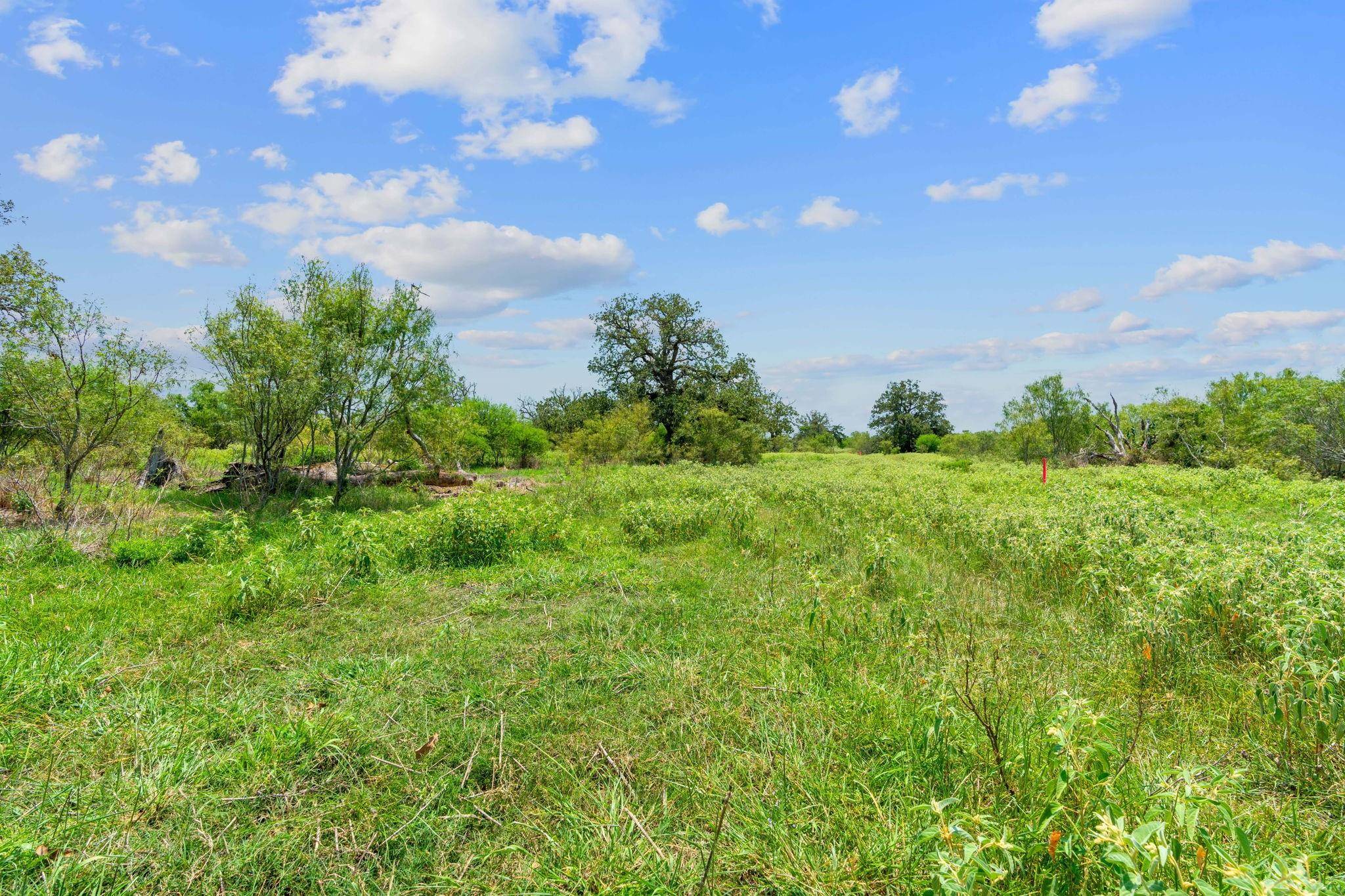 Flatonia, TX 78632,Lot 10 CR 402