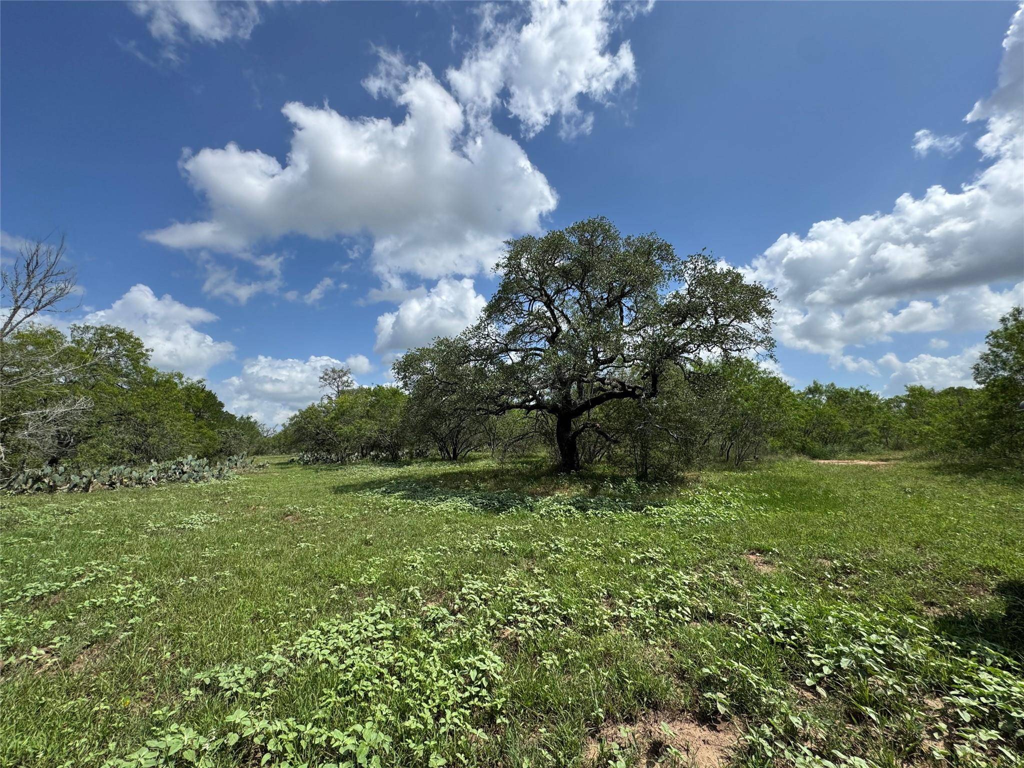 Nixon, TX 78140,0000 CR 171