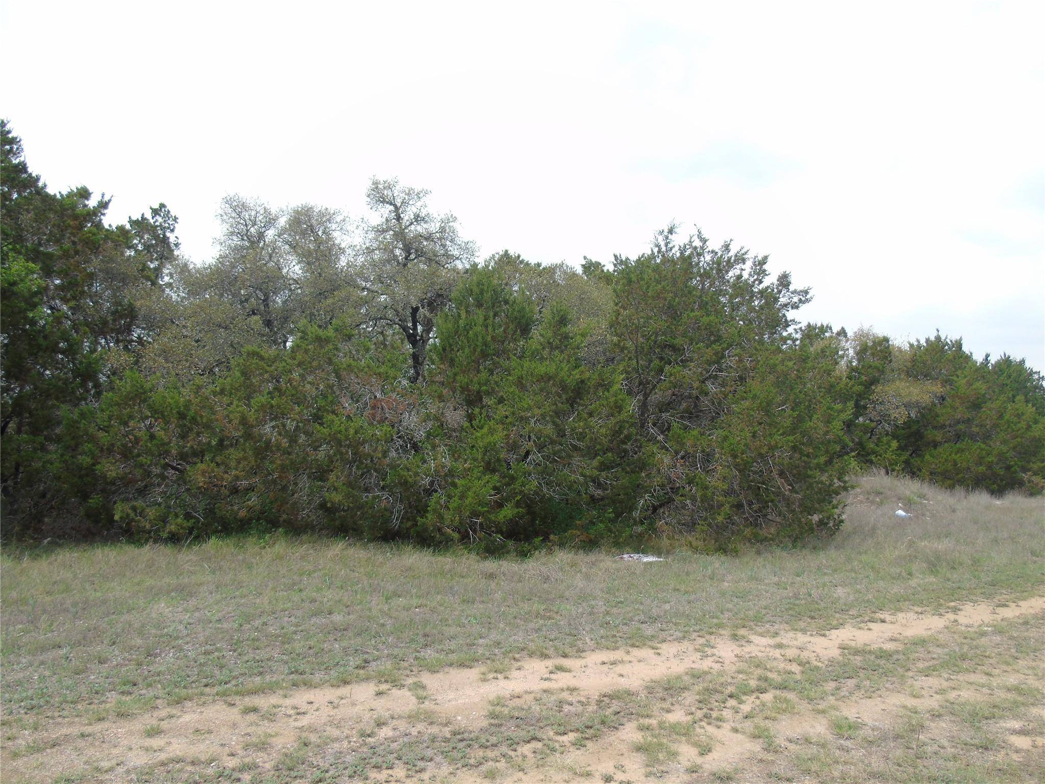 Lago Vista, TX 78645,8315 Cedar Glen CV
