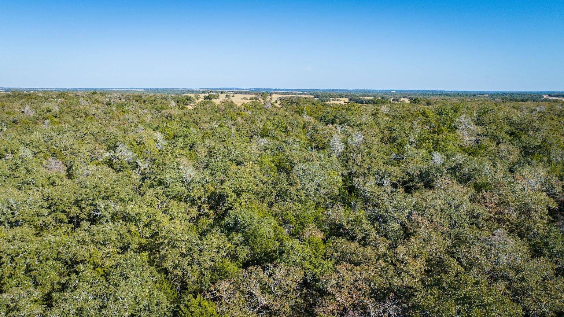 Thrall, TX 76578,1293 CR 482