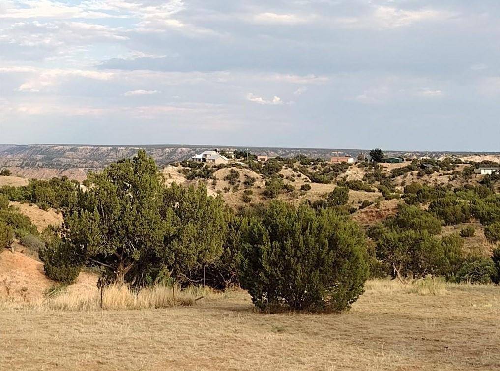 Canyon, TX 79015,10500 Indian Camp TRL