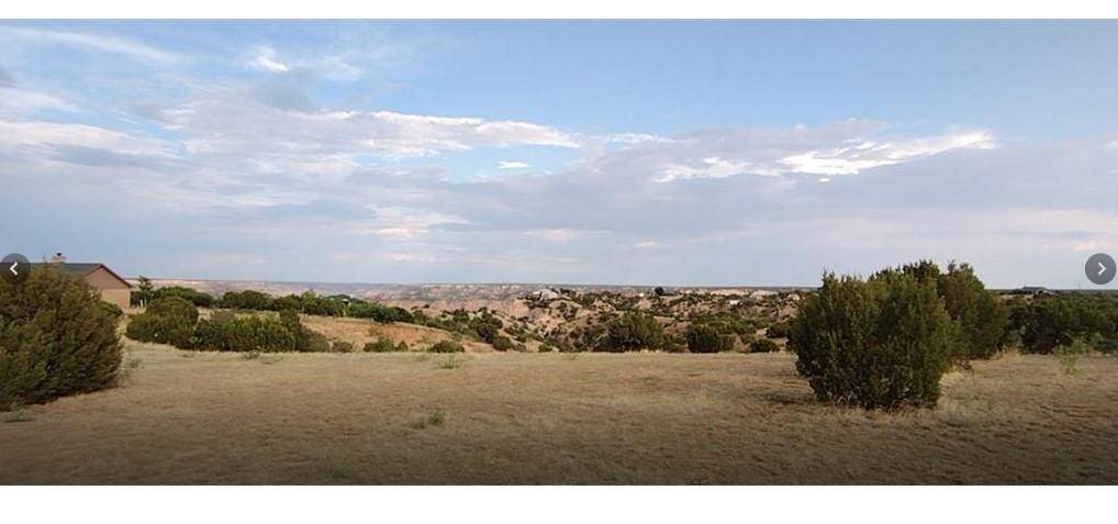 Canyon, TX 79015,10500 Indian Camp TRL