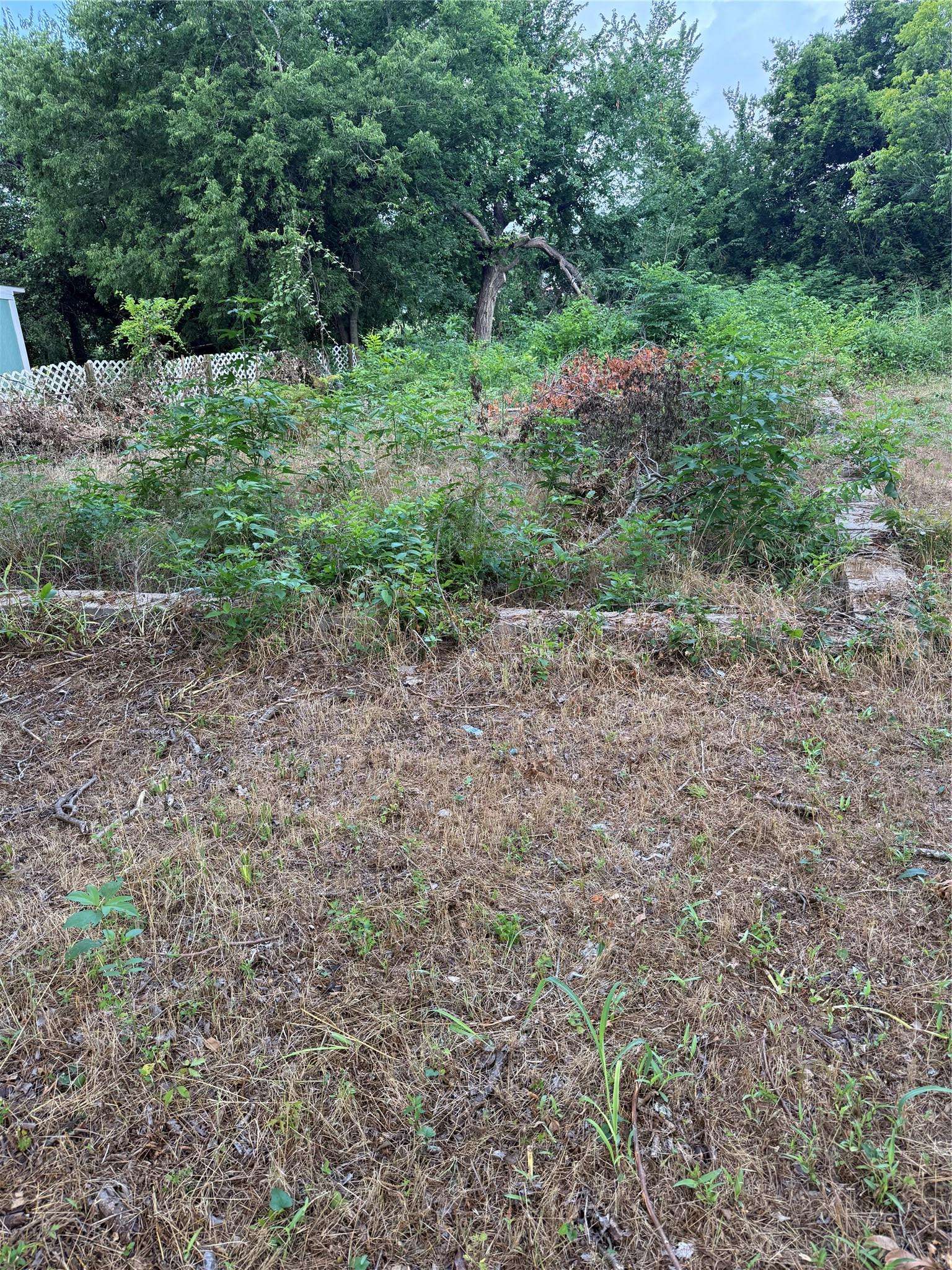 Cameron, TX 76520,708 N Polk Ave