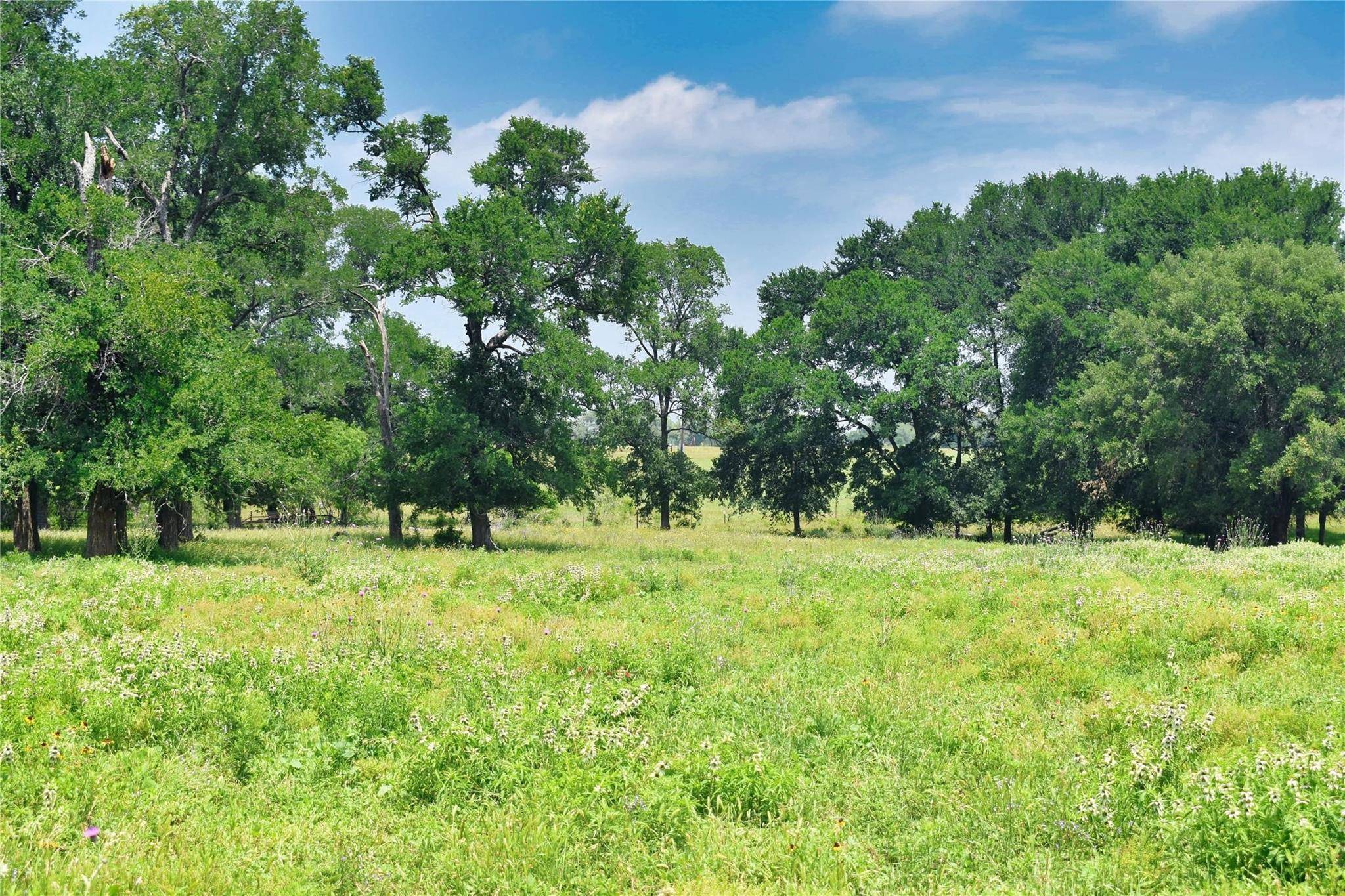 Kingsbury, TX 78638,TBD lot 15 Woodrow