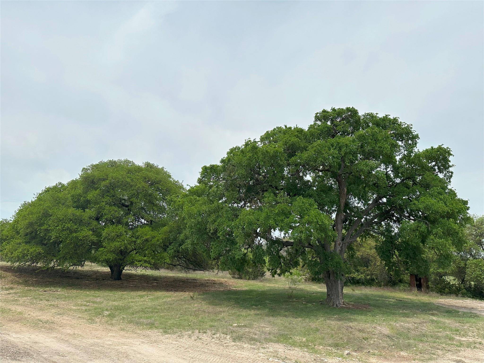 Bertram, TX 78605,tbd County Road 330