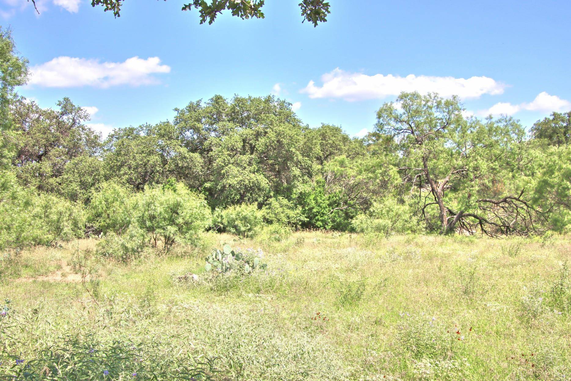 Burnet, TX 78611,0 County Road 110