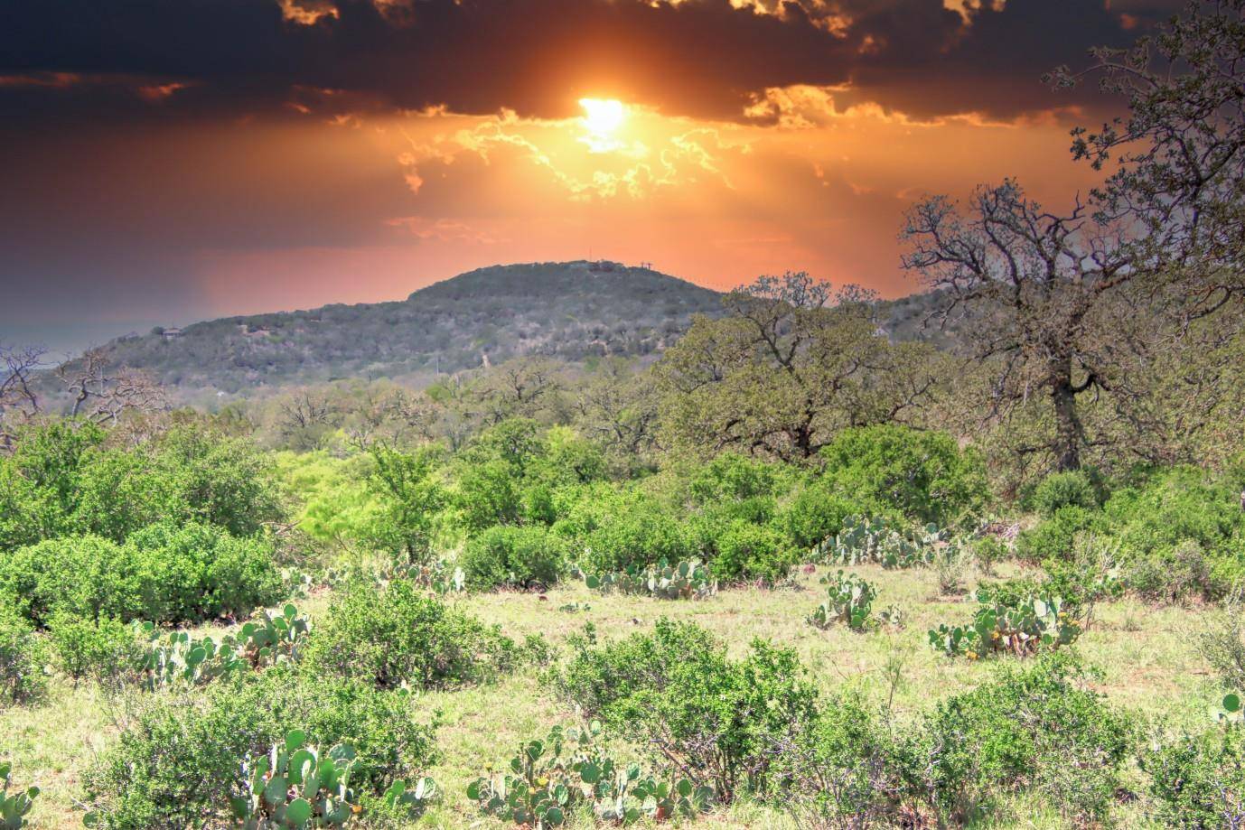 Burnet, TX 78611,0 County Road 110